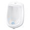 Big D Non-Para Urinal Screen, Lasts 30 Days, White, Evergreen, PK12 066000 - alternate 2